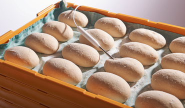2-in-1 blast freezer